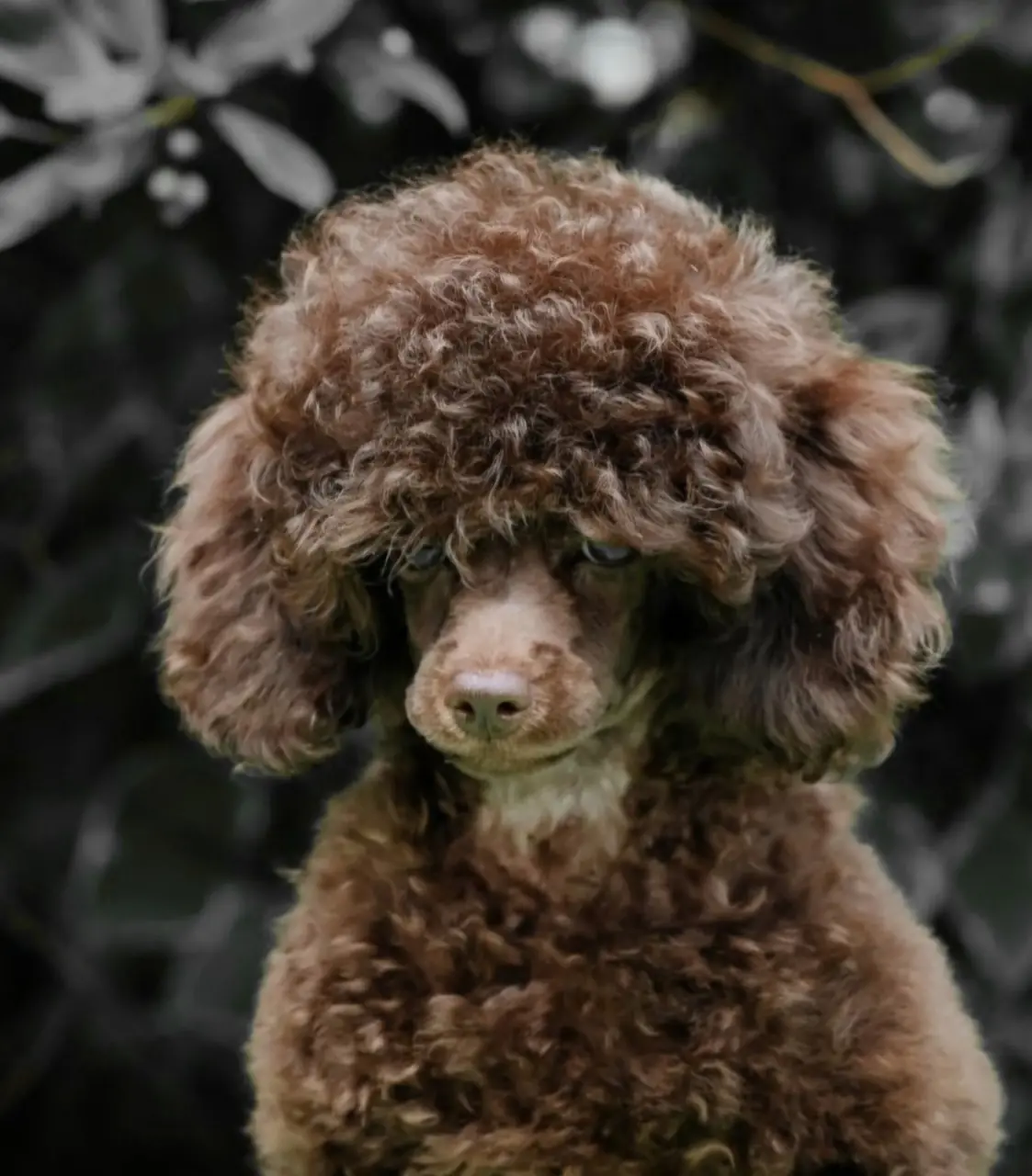 Ёжик — помощник мастерской